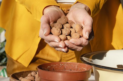 Керамзит как дренаж в цветоводстве