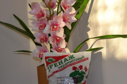 Керамзит как субстрат в гидропонике